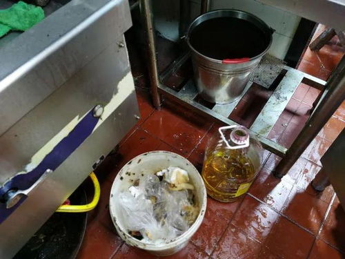 餐飲復工調查 積壓庫存引擔憂，服務安全需關注