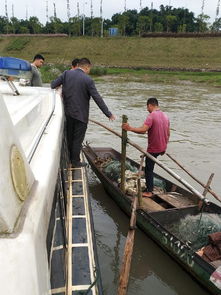 南溪區(qū)開展國慶節(jié)前漁船安全生產(chǎn)專項檢查，確保畜牧漁業(yè)飼料銷售與漁業(yè)生產(chǎn)安全