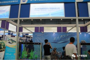 近500家水產(chǎn)產(chǎn)業(yè)鏈企業(yè)齊聚合肥漁博會，現(xiàn)場亮點紛呈，行業(yè)盛事引領產(chǎn)業(yè)新方向