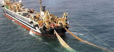 探秘‘海洋巨獸’ 造價(jià)四億的世界最大漁船，萬(wàn)噸漁獲背后的畜牧漁業(yè)飼料銷售鏈