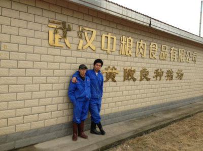 畜牧獸醫(yī)專業(yè)校外實習(xí)基地建設(shè) 聚焦畜牧漁業(yè)飼料銷售實踐